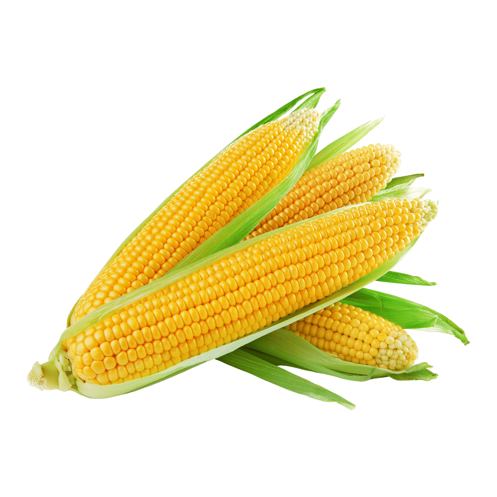 corn-item Corn - Maize